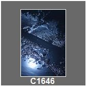C1646