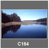 C164