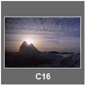 C16