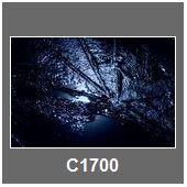 C1700