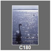 C180