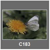 C183