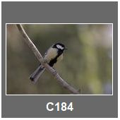 C184