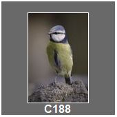 C188