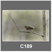 C189