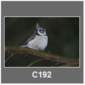 C192