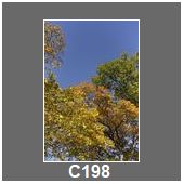 C198