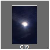 C19