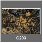 C203