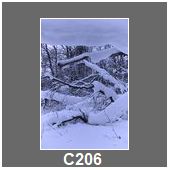 C206