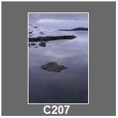 C207