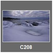 C208