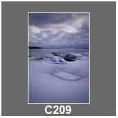 C209