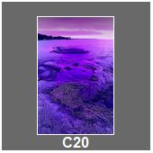 C20