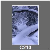C210
