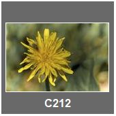 C212