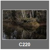 C220