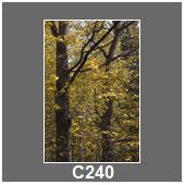 C240
