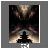 C24