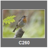 C260