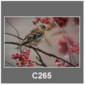 C265