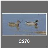 C270