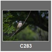 C283