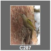 C287