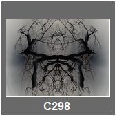 C298