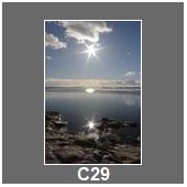 C29