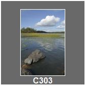 C303