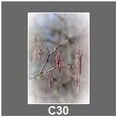 C30