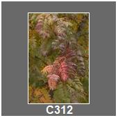 C312