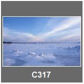 C317
