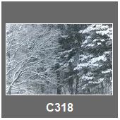 C318