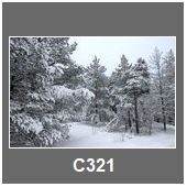 C321