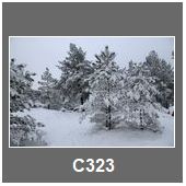 C323