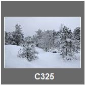 C325