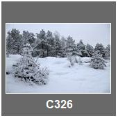 C326