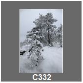 C332