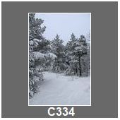 C334