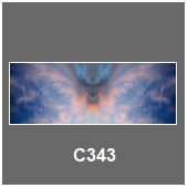 C343