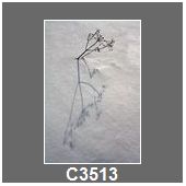 C3513