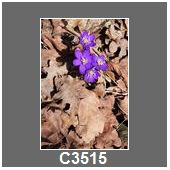 C3515
