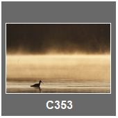 C353