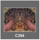 C354