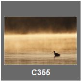 C355