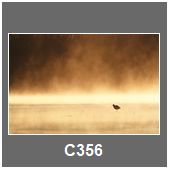 C356