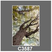 C3587