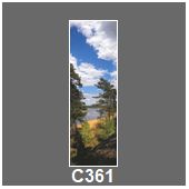 C361